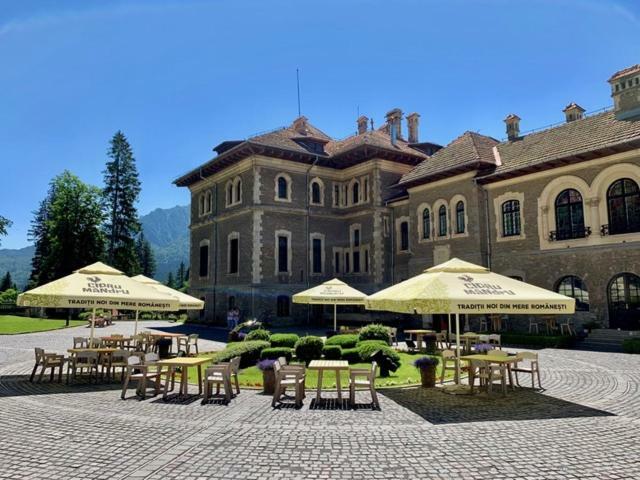 Castelul Cantacuzino Buşteni Extérieur photo